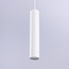 TS20240712_165243_web