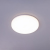 TS20240521_165343_web
