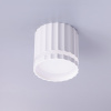 TS20240521_163331_web
